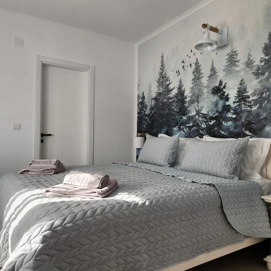 My Room Accommodation Curtea De Arges Exterior photo