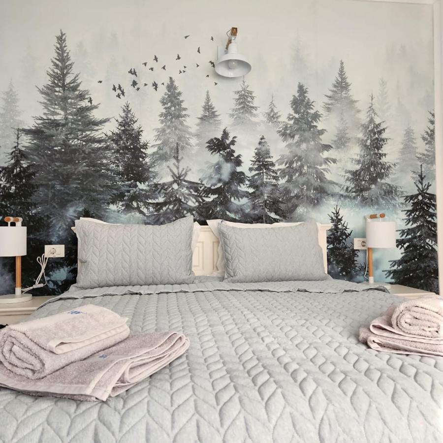 My Room Accommodation Curtea De Arges Exterior photo